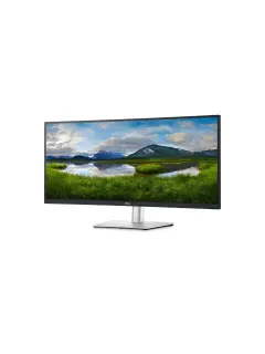 Dell 34" Curved USB-C Monitor P3421W 